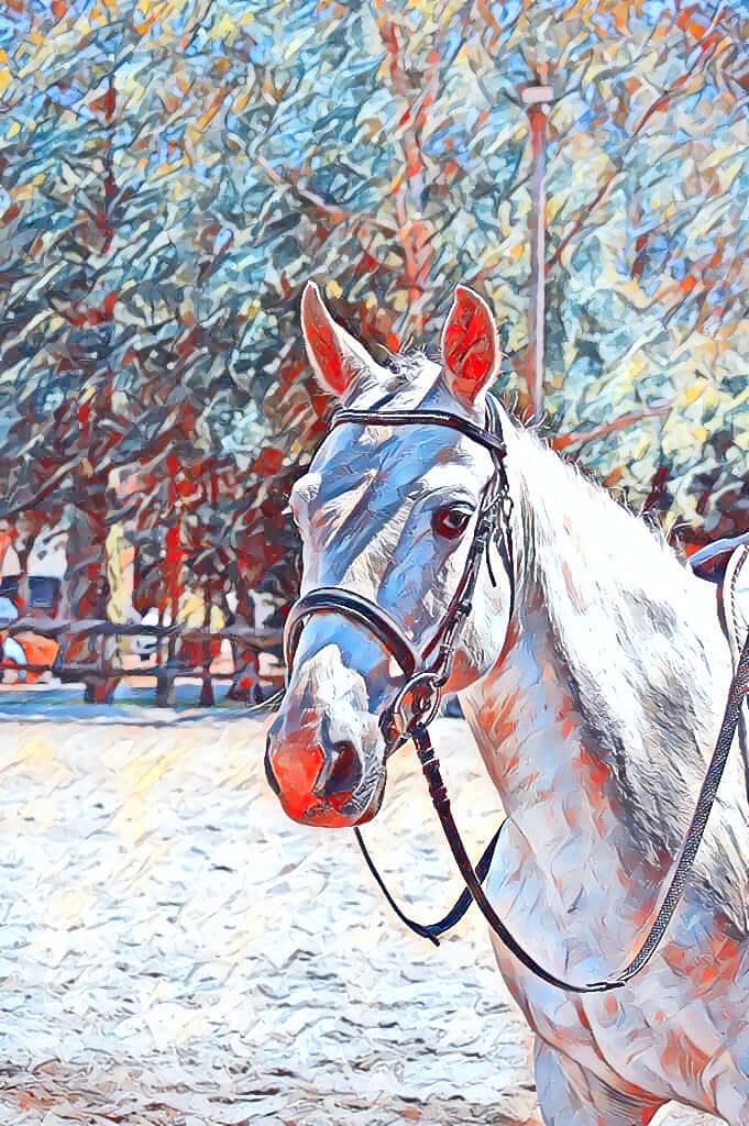 Peinture impressionniste cheval - Equinapix