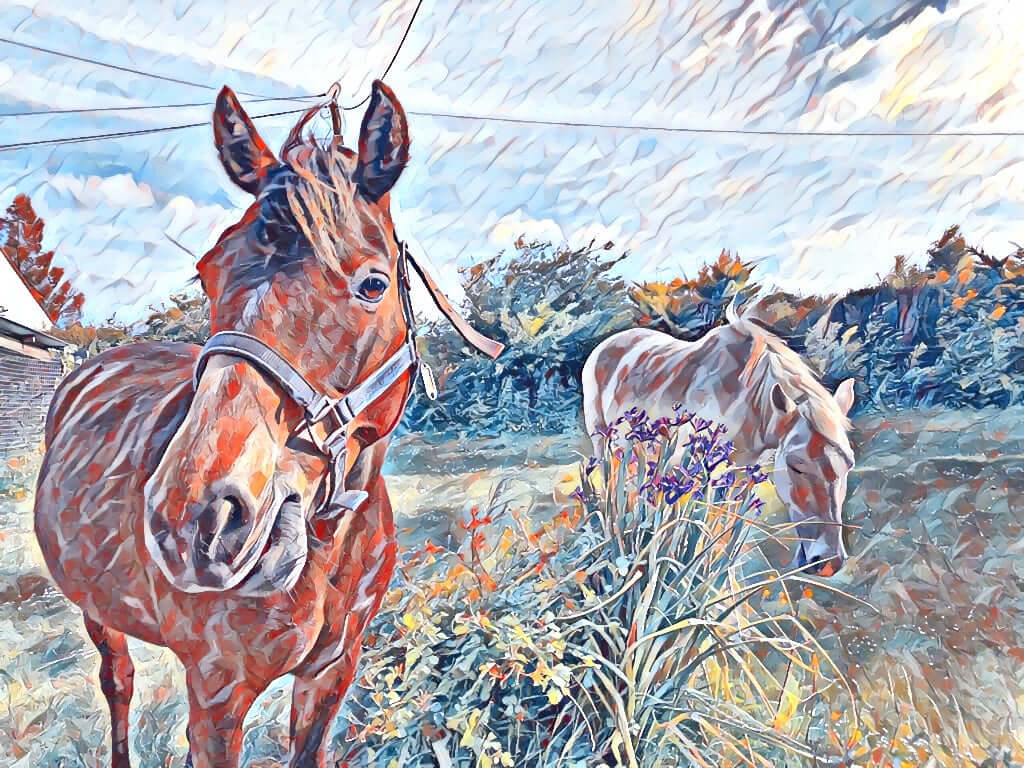 Peinture impressionniste cheval - Equinapix